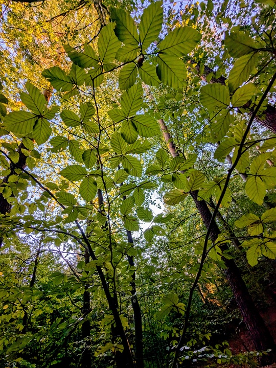 Reproduction at the cold edge